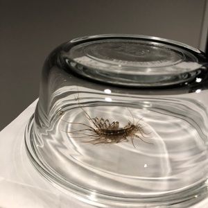 Meet your Posher, Christian